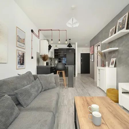 Elegancki We Wroclawiu Blisko Parku I Rzeki Z Klimatyzacja W Salonie I Biurkiem By Renters Apartment *